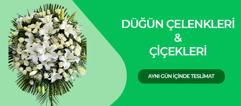 Nikah & Düğün