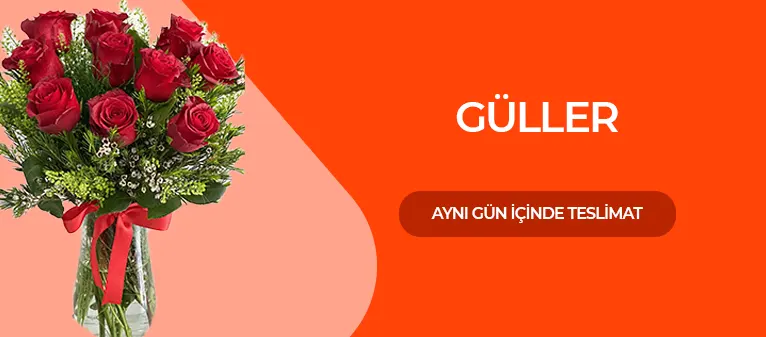 Gül Aranjmanları